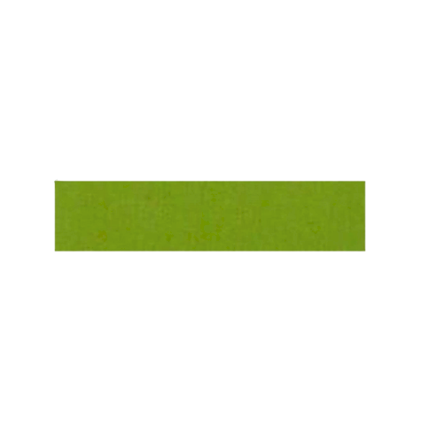 Habillage - Rouleau Bordure adhésive Chintz Vert anis - 12.5 M