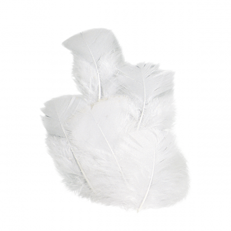 Loisirs créatif -  plumes de dinde - Blanc - 16 pièces