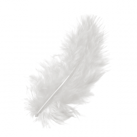 Loisirs créatif -  plumes marabout - Blanches - 15 pièces