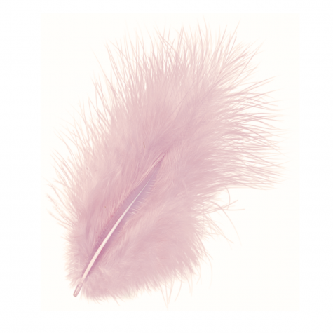 Loisirs créatif -  plumes marabout - Rose pastel  - 15 pièces