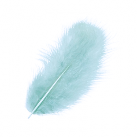 Loisirs créatif -  plumes marabout - turquoise  - 15 pièces
